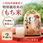 ☆2026年産新米☆特別栽培米のもち米約2kg