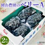 <ベリーA 約2kg>果物