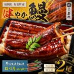 健やか鰻 うなぎ蒲焼 無頭 2尾