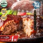 塩仕込みハンバーグ 4個入り
