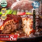 塩仕込みハンバーグ 8個入り