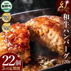 幻のあかうし和牛ハンバーグ 22個入り