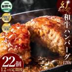 幻のあかうし和牛ハンバーグ 22個入り