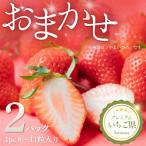 吉見いちご 2パック