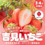 吉見いちご 2パック