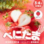 吉見いちご 2パック