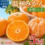 温州みかん 小粒っ子 5kg