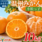 温州みかん 小粒っ子 10kg