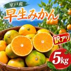 早生みかん 訳あり 5kg