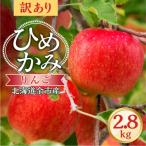 訳アリ りんご ひめかみ 2.8kg