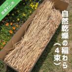 自然乾燥の稲わら 4束