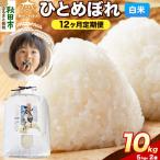 ひとめぼれ 10kg