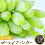 ゴールドフィンガー 1房 約400g