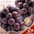 オーロラブラック 2房 1房480g以上