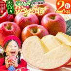 りんご 高谷農園 葉とらずサンふじ 約2kg
