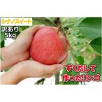 田原産 リンゴ シナノスイート 訳あり 約5kg