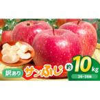 田原産 リンゴ サンふじ 訳あり 約10kg