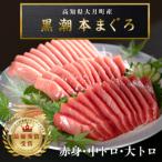 訳あり 不定貫 黒潮本まぐろ 大トロ 中トロ