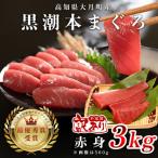 訳あり 不定貫 黒潮本まぐろ 赤身 計3kg