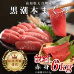 訳あり 不定貫 黒潮本まぐろ 赤身 計6kg