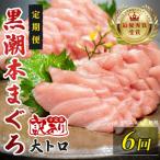 訳あり 不定貫 黒潮本まぐろ 大トロ 定期便 120g×6回