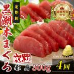 訳あり 不定貫 黒潮本まぐろ 赤身 定期便 300g×4回