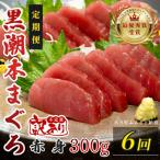 訳あり 不定貫 黒潮本まぐろ 赤身 定期便 300g×6回