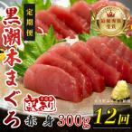 訳あり 不定貫 黒潮本まぐろ 赤身 定期便 300g×12回
