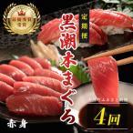 訳あり 不定貫 黒潮本まぐろ 赤身 定期便 120g×4回