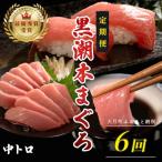 訳あり 不定貫 黒潮本まぐろ 中トロ 定期便 120g×6回