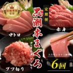 訳あり 不定貫 定期便 6回 本マグロ 大トロ