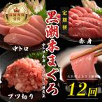 訳あり 不定貫 定期便 12回 本マグロ 赤身
