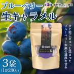 ブルーベリージャム 280g