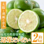 辺塚だいだい 青果 2kg