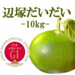 辺塚だいだい 青果 10kg
