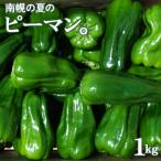 ピーマン ピクシー 約1kg