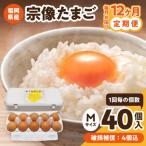 新鮮 赤卵 宗像たまご Mサイズ 40個×12ヶ月定期便