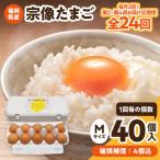 新鮮 赤卵 宗像たまご Mサイズ 40個×12ヶ月定期便
