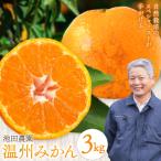 特選 温州みかん 3kg