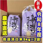 従来こしひかり 無洗米 10kg