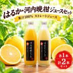 果汁100%ストレートジュース はるか河内晩柑 各1本