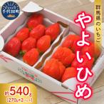 いちご やよいひめ 約270g×2パック