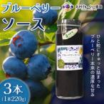 ブルーベリーソース 220g