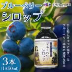 ブルーベリーシロップ 50ml