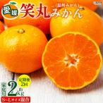 定期便3回 笑丸みかん 温州みかん 約2kg