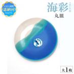 丸皿 大 1枚