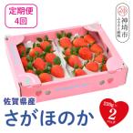 さがほのか220g×2パック H117103