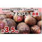 ほっくり美味しい♪化学合成農薬等不使用のサトイモ