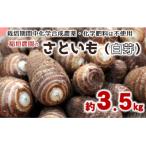 ほっくり美味しい♪化学合成農薬等不使用のサトイモ