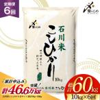 米 定期便 石川米こしひかり 10kg×6回